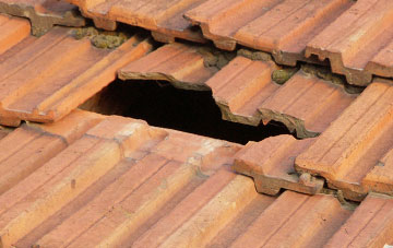 roof repair Dairsie, Fife